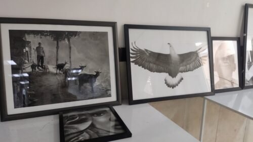 Bukan 2023 - Photo Gallery 5 IMG 20230817 123118 - Najmeh Delara