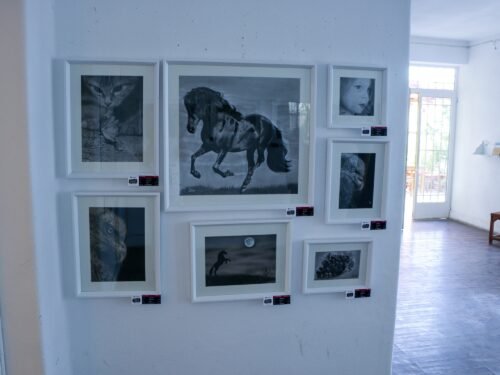 Charity Art Exhibition – Shiraz, 2017